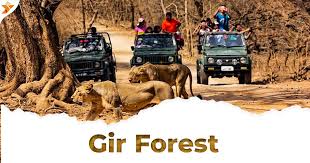 Sasan Gir National Park