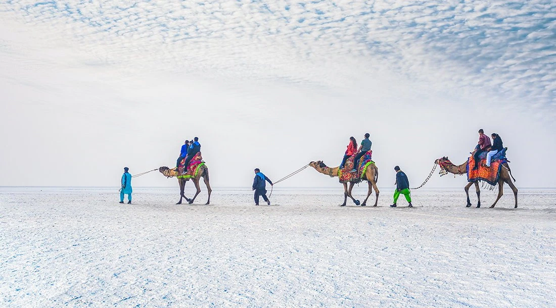 White Rann of Kutch